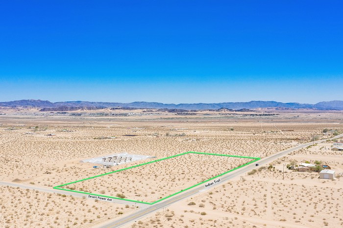 Desert Flower Ave