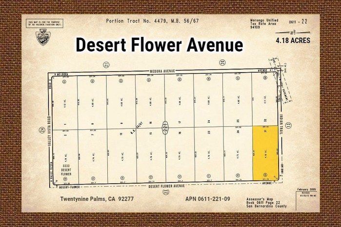 Desert Flower Ave