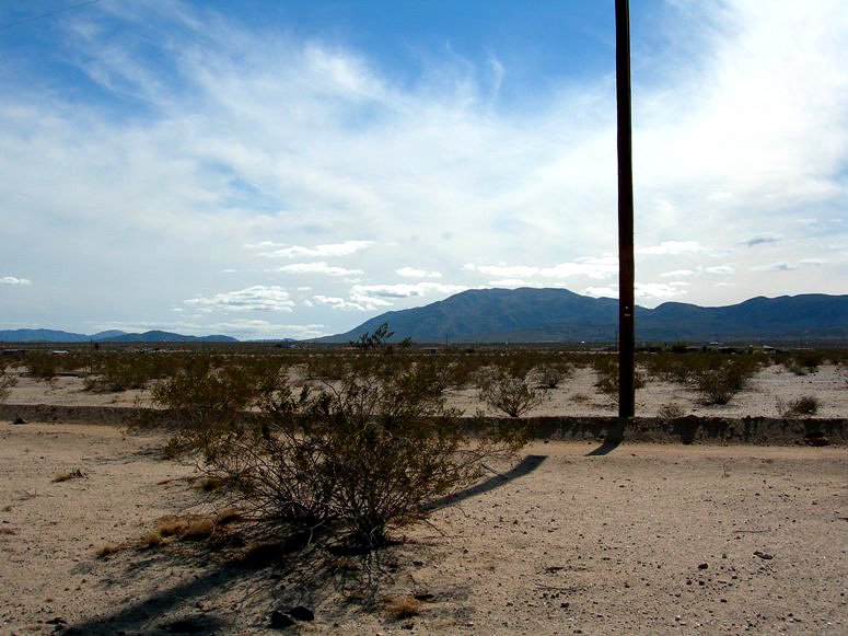 Wonder Valley Raw Land For Sale