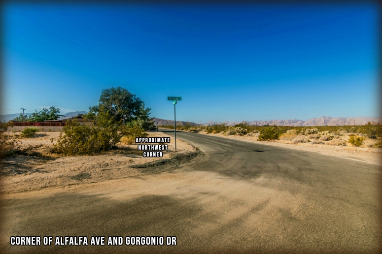 Alfalfa Avenue