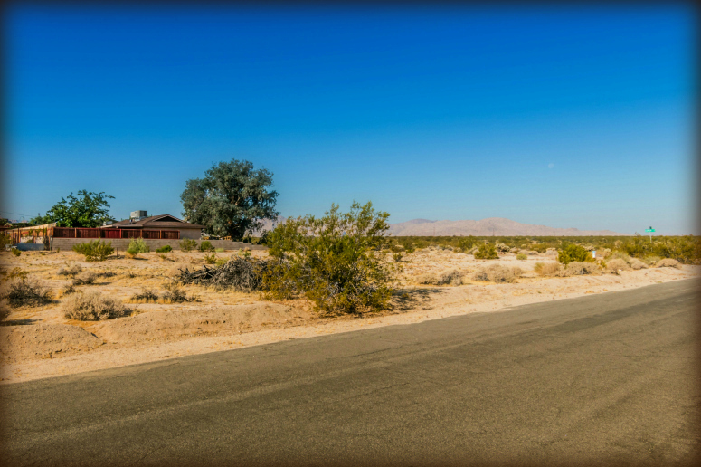 Alfalfa Avenue