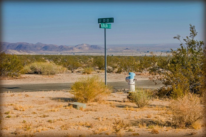 Alfalfa Avenue